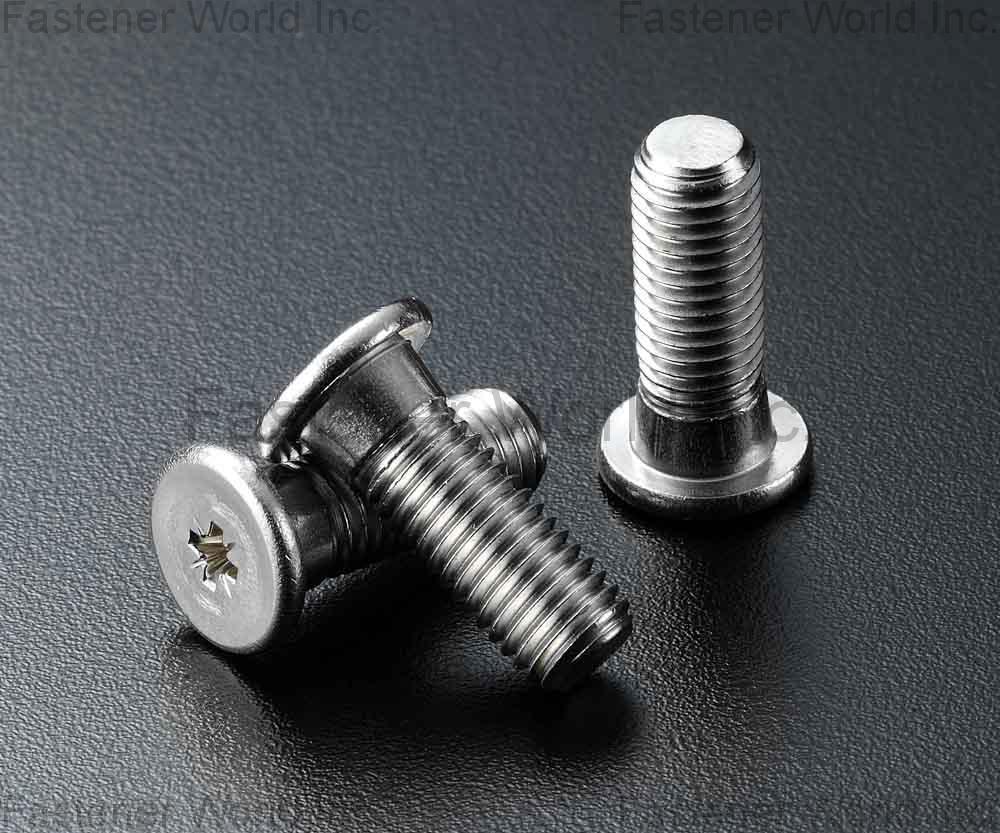 SEN CHANG INDUSTRIAL CO., LTD.  , Speical Screw Stainless Steel AISI , Stainless Steel Screws