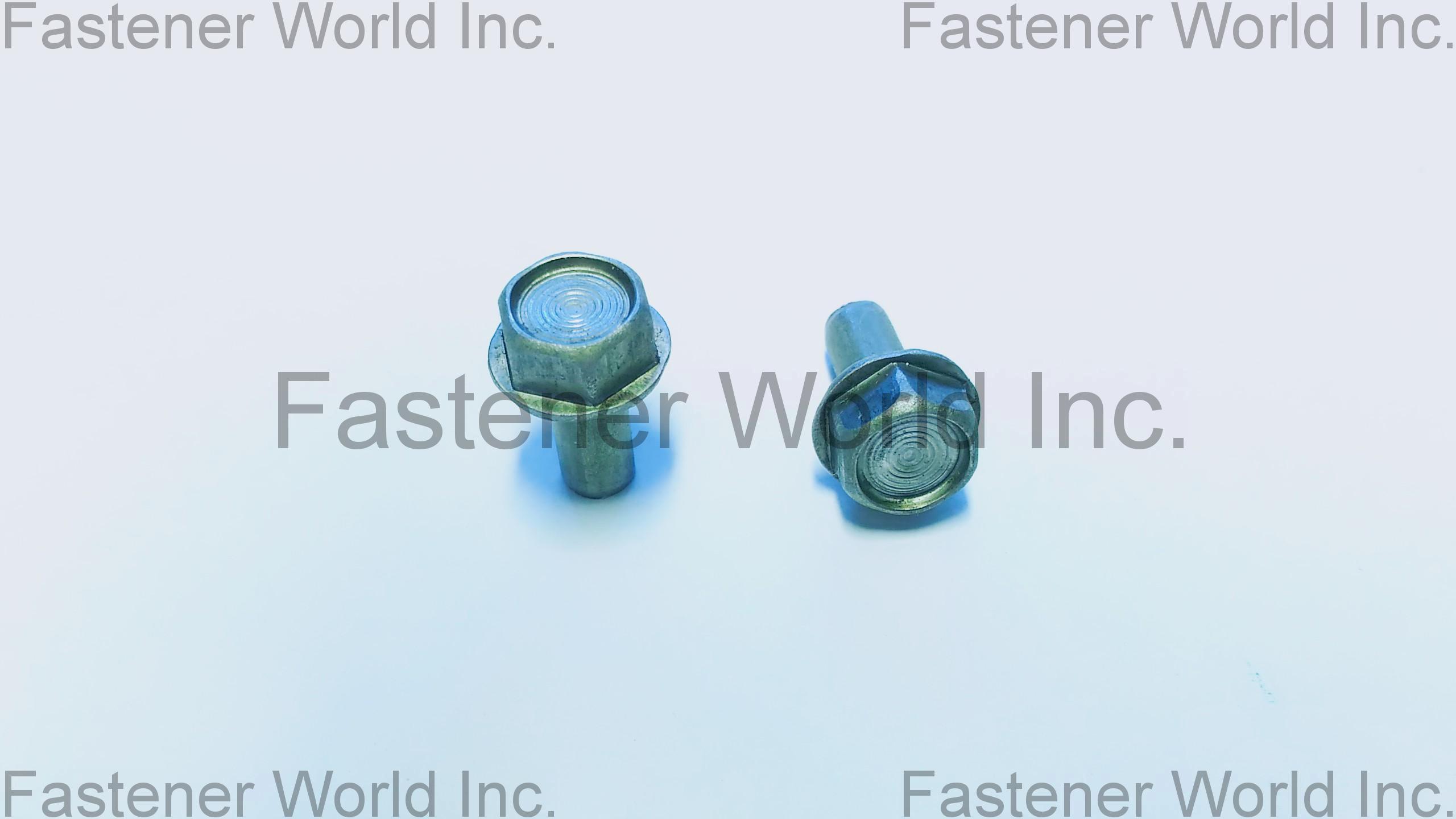 TONG HO SHING INTERNATIONAL CO., LTD. , Special Screws