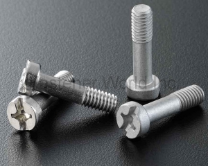 fastener-world(SEN CHANG INDUSTRIAL CO., LTD.  )