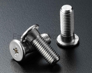 fastener-world(SEN CHANG INDUSTRIAL CO., LTD.  )