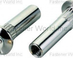 fastener-world(ZYH YIN ENT. CO., LTD.  )