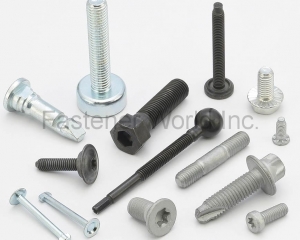 fastener-world(SCREWTECH INDUSTRY CO., LTD.  )