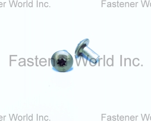 fastener-world(TONG HO SHING INTERNATIONAL CO., LTD. )