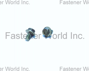 fastener-world(TONG HO SHING INTERNATIONAL CO., LTD. )