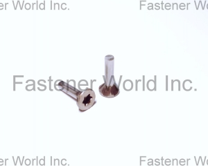 fastener-world(TONG HO SHING INTERNATIONAL CO., LTD. )