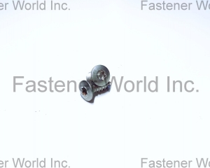 fastener-world(TONG HO SHING INTERNATIONAL CO., LTD. )