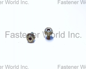 fastener-world(TONG HO SHING INTERNATIONAL CO., LTD. )