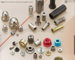 fastener-world(WEI ZAI INDUSTRY CO., LTD.  )