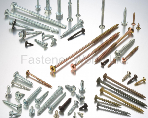 fastener-world(THREAD INDUSTRIAL CO., LTD.  )