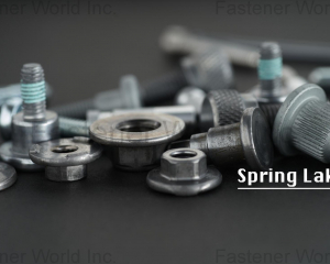 fastener-world(SPRING LAKE ENTERPRISE CO., LTD.  )