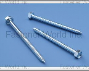 fastener-world(FUSHANG CO., LTD.  )