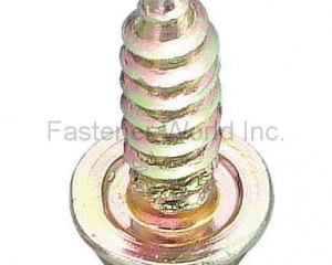 fastener-world(RAY FU ENTERPRISE CO., LTD. )