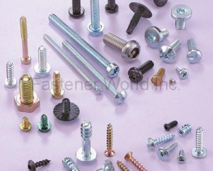 fastener-world(WE POWER INDUSTRY CO., LTD.  )