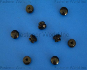 fastener-world(SHUN DEN IRON WORKS CO., LTD.  )